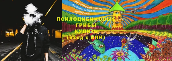 гидропоника Вязьма