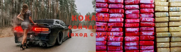 шишки Абинск