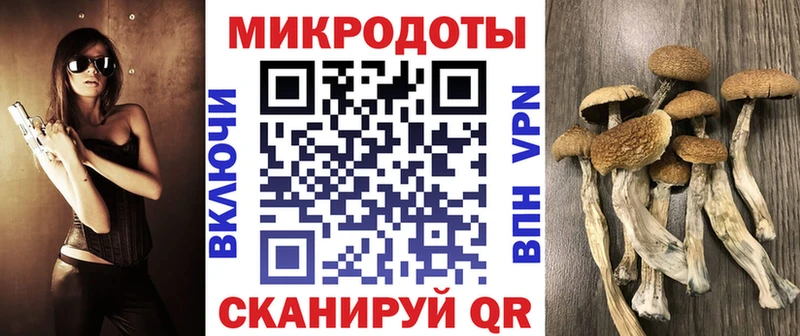 купить   Нижняя Тура  Псилоцибиновые грибы мицелий 